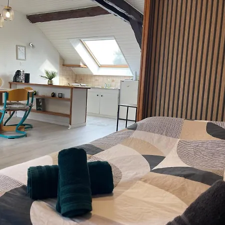 Charmant Studio A Saulcy-Sur-Meurthe, Vosges Exterior foto